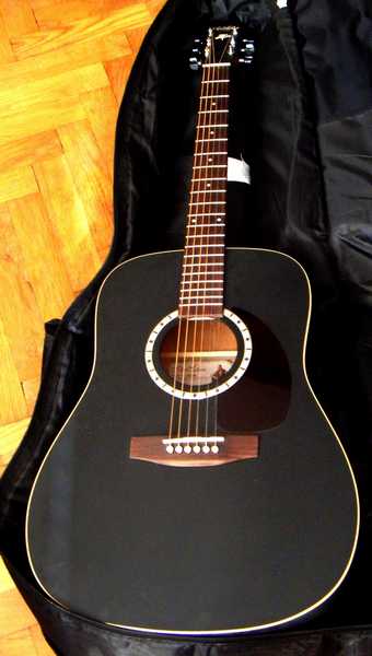Guitare Folk Art & lutherie Cedar Black - Petite Annonce TrocMusic