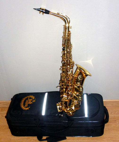 SAXOPHONE ALTO B&S A620 Petite Annonce TrocMusic