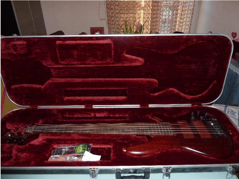 Photo annonce Basse Ibanez SR506 6 cordes Custom & valise