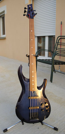 Photo annonce Basse 5 cordes fretless made in Quebec
