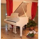 Photo annonce Piano Samick Sg 155 Quart De Queue Laque 
