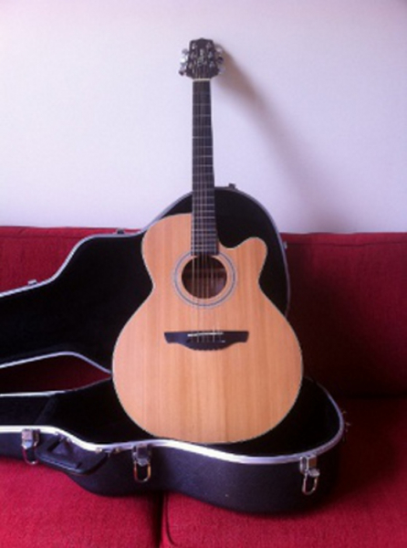 Photo annonce Takamine EGS 430 SC