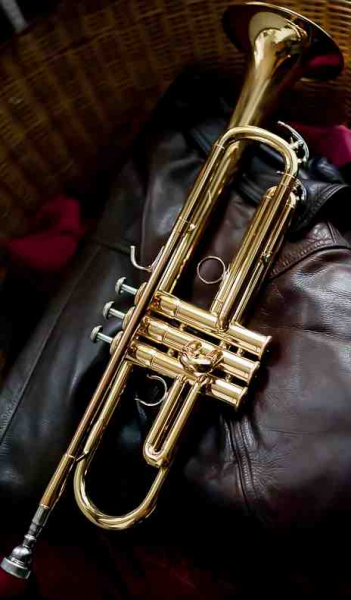 Photo annonce Yamaha YTR6310 Z Trompette Bobby Schew Sib 