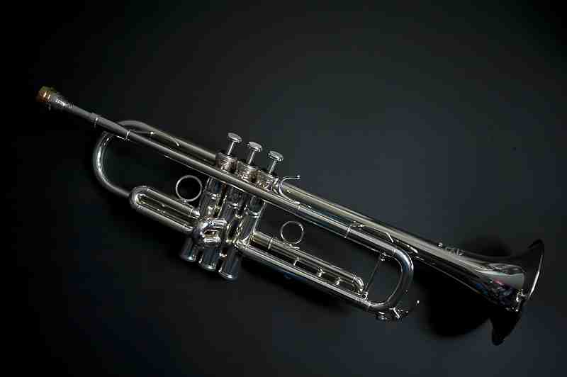 Photo annonce Yamaha XENO YTR 8335 RGS Trompette