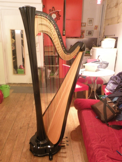 Photo annonce Harpe 47 cordes  de Concert Aurora Salvi