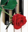 Photo annonce Cours  de  piano clavier ou chant tous styles