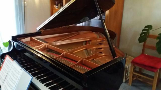 Photo : Piano   Yamaha  GC1 quart de queue