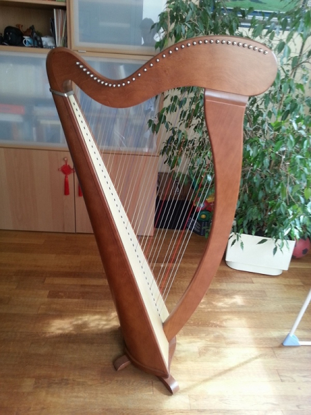 Photo : Harpe   CAMAC    type Melusine 38 cordes