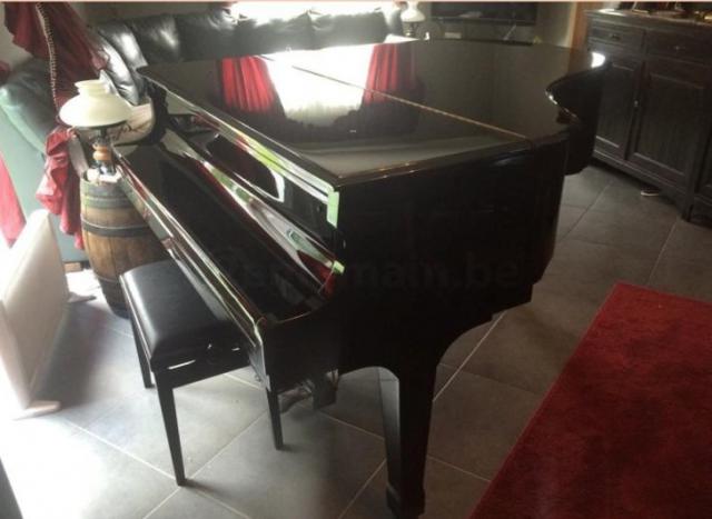 Photo : Piano    noir    Carl Steinberg quart queue 1m65