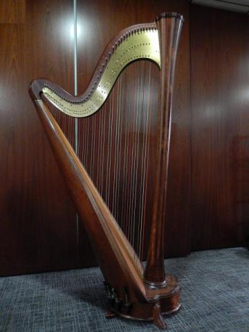 Photo : Harpe           double mvt 47 cordes Salvi Aurora