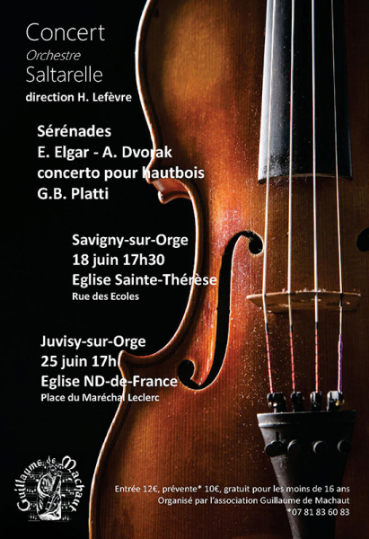 Photo : Concerts de l Orchestre Saltarelle           