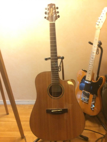 Photo annonce Takamine        SG363 electro acoustique 