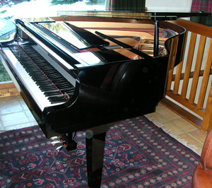 Photo : Piano  a  queue  Yamaha GP1 161