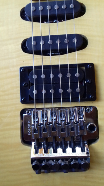 Photo : Guitare       MATT RAINES SB6