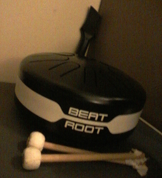 Photo : BEAT ROOT Tongue Drum electro acoustique