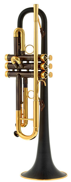 Photo : Trompette       daCarbo Toni Maier 139R Bb Trumpet