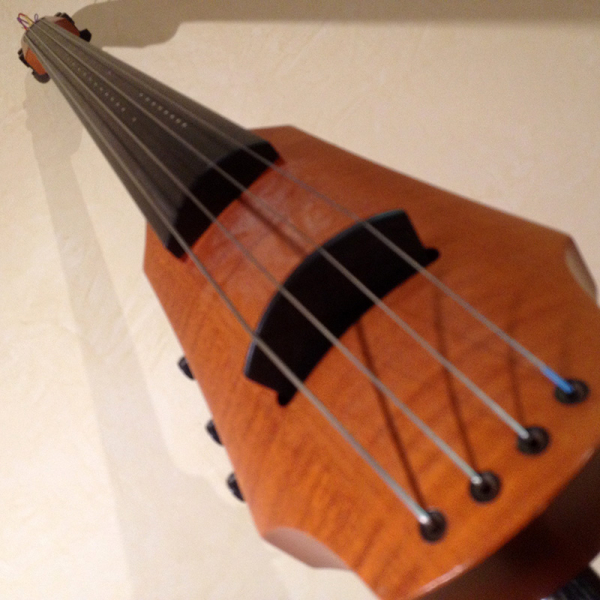 Photo : violoncelle electrique NS Design
