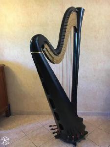 Photo : Harpe            SALVI Daphne 47 S