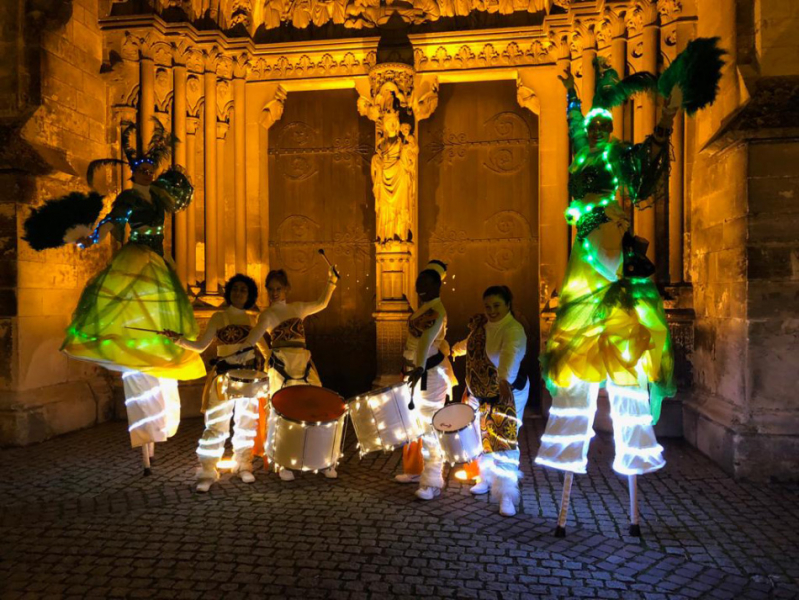Photo : Parade lumineuse sous les tropiques echasses 