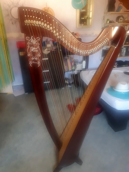 Photo annonce Harpe Celtique Camac Korrigan 38 cordes