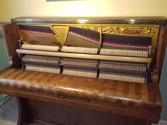 Photo : Piano    Droit   GAVEAU E 125 frise a chevron