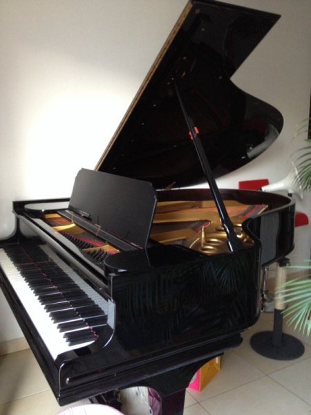 Photo : Piano Steinway appartenant a Marie Paule Bell