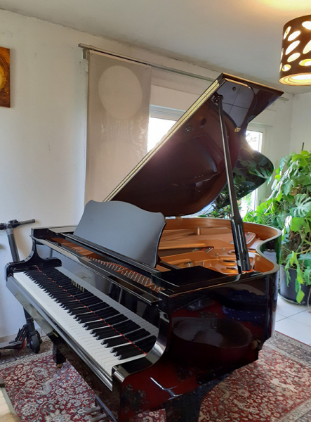 Photo : Piano  a  queue  Yamaha C3 silent
