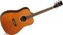 Evolution Dreadnought Tanglewood