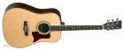 TW15 Dreadnought, TW15 NS, TW15NS Tanglewood
