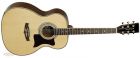 Photo Tanglewood Premier  170AS title=
