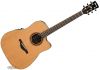 AW250ECELG, AW-250ECE Natural Low Gloss, AW250-ECE, AW-250-ECE Ibanez