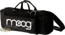 Gig Bag Theremin Moog