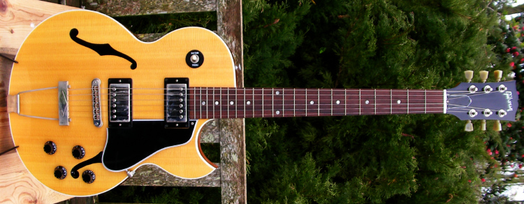 Photo : Gibson Custom Shop ES 446
