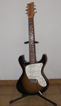 Photo : guitare Danelectro INNUENDO