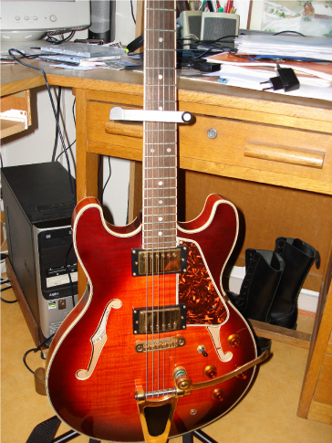 Photo annonce Guitare Electrique Demi Caisse