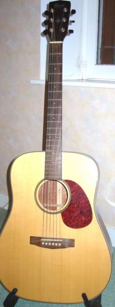 Photo : Guitare Folk CORT