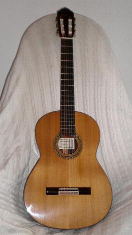 Photo : Guitare Concert Pappalardo