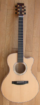 Photo annonce Guitare Lakewood A 50 cut