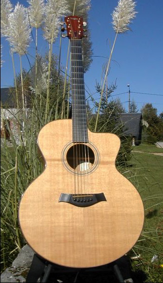 Photo : Taylor LKSM 6