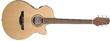 Photo annonce Electro Acoustique Takamine EG 560 C