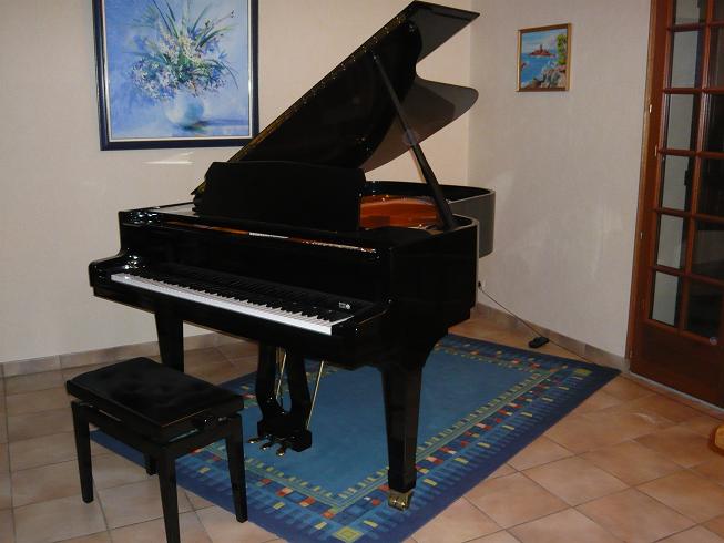 Photo annonce Piano demi queue Pleyel