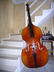 Photo : Contrebasse avec archet et micro