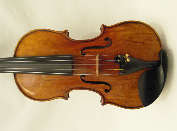 Photo annonce Violon 5 cordes