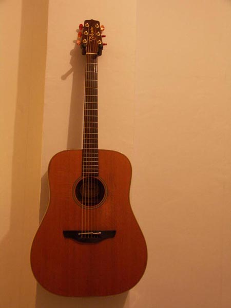 Photo : Electro Acoustique TAKAMINE EN 10