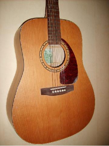Photo : Guitare Simon & Patrick S6