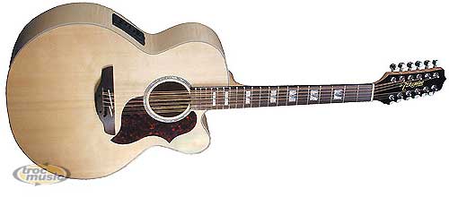 Photo annonce TAKAMINE EG523SC12