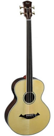 Photo annonce Basse electro acoustique CORT & Fishman