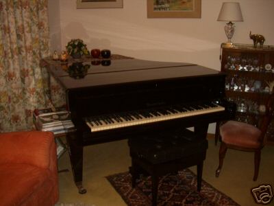 Photo annonce Piano Bosendorfer