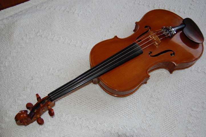 Photo : Viola Alto