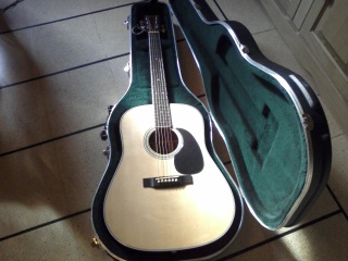Photo : Folk Martin D 35